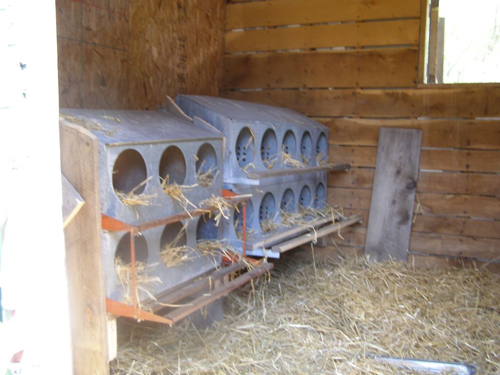 Hobby Farm Hen Nesting Boxes · Hobby Farm Heaven