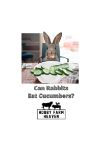 Can Rabbits Eat Cucumbers? · Hobby Farm Heaven