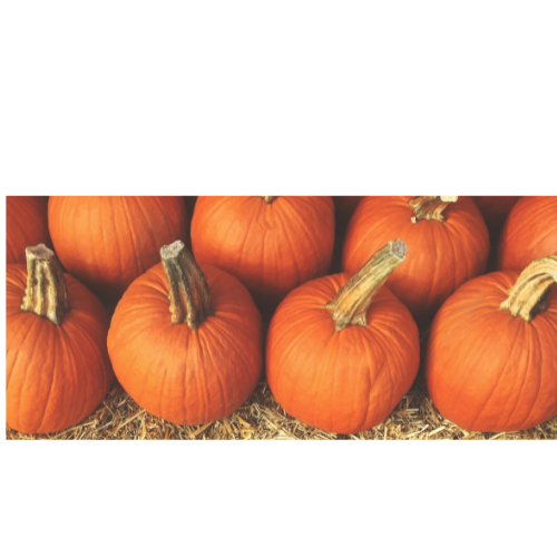 Can Rabbits Eat Raw Pumpkins?