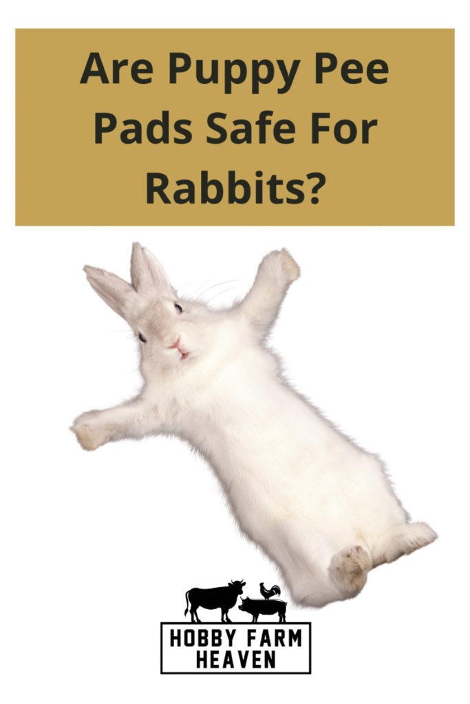 Puppy Pee Pads Safe For Rabbits?