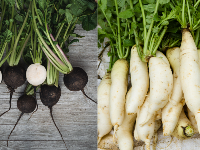 Black and White Radishes Beautiful