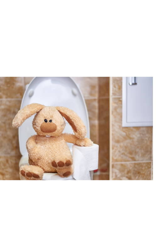 Rabbit Digestive System is Delicate