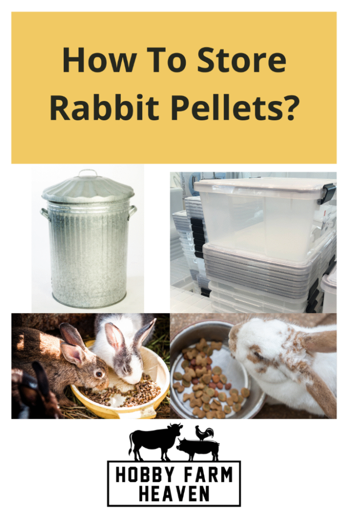 How To Store Rabbit Pellets
