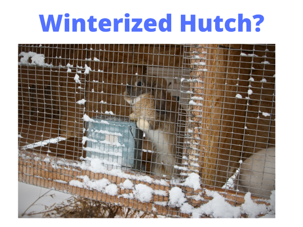 Rabbit Hutch Not Winterized