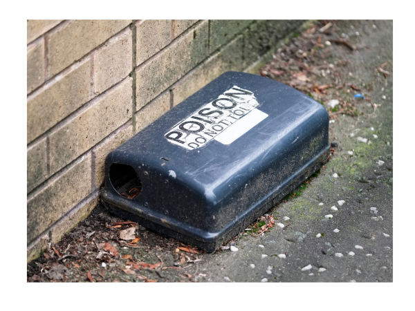 rat bait containers · Hobby Farm Heaven