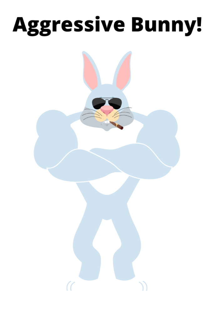 Bouncer Bunny - Aggressive Bunny