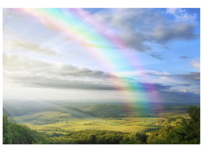 Can Rabbits Get Wet In The Rain With Rainbow