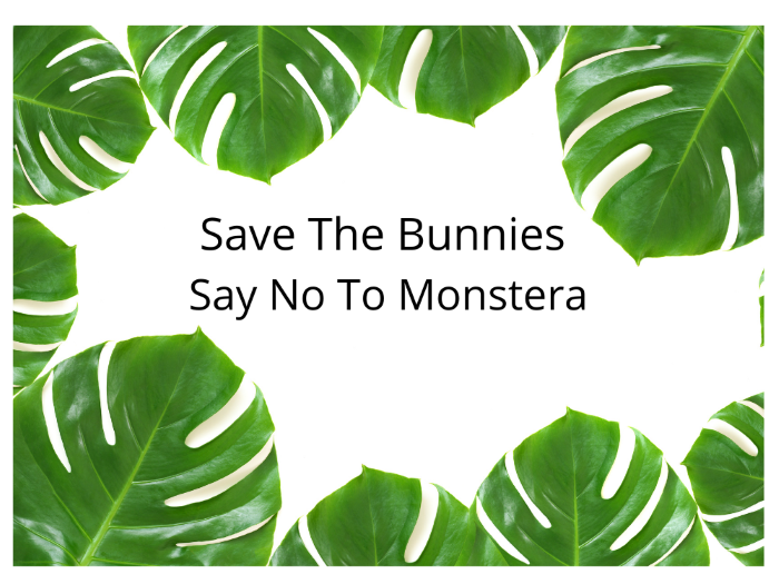 Save The Bunnies - Say No To Monstera Plants