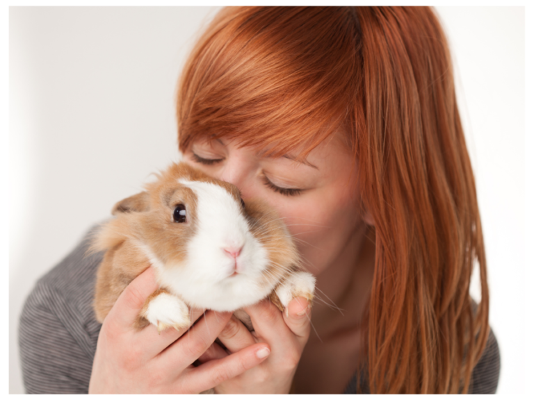 Rabbit Bonding Where Do Rabbits Like To Be Scratched · Hobby Farm Heaven