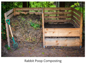 Rabbit Poop Composting
