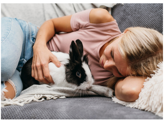 Daily Health Checks for Rabbits
