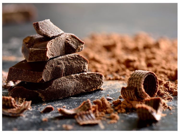 Chocolate makes bunny rabbit sick